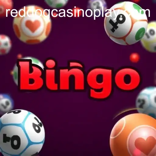 Exploring the World of Online Bingo and Reddogcasino